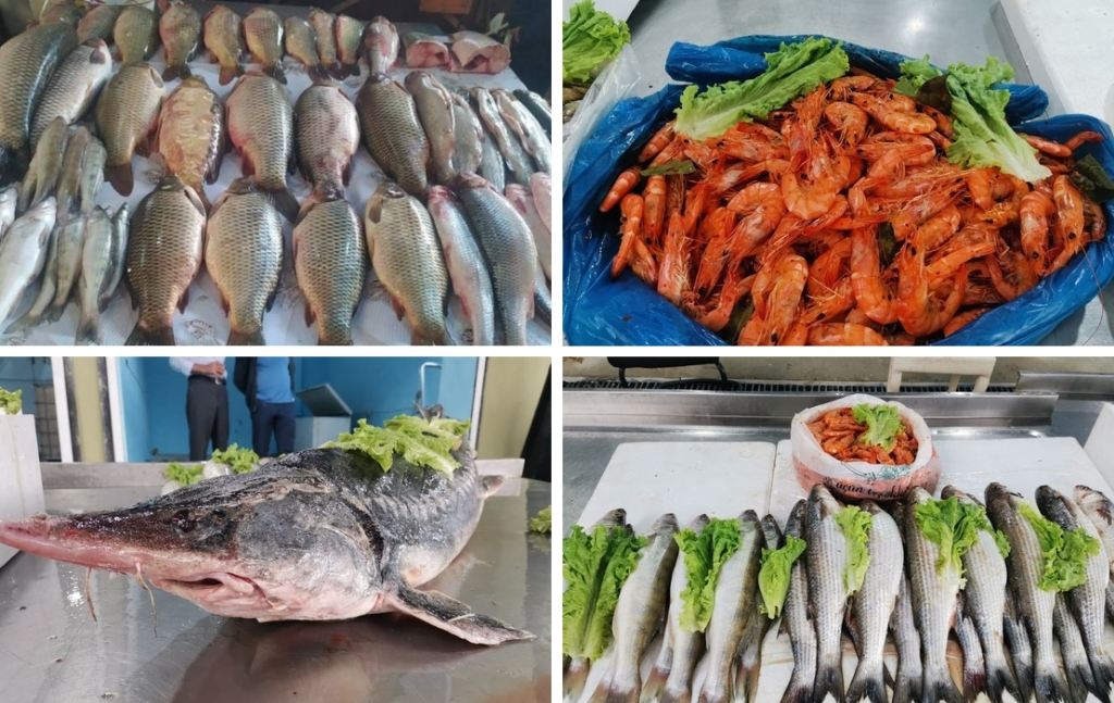 Рыбный-рынок-в-Баку