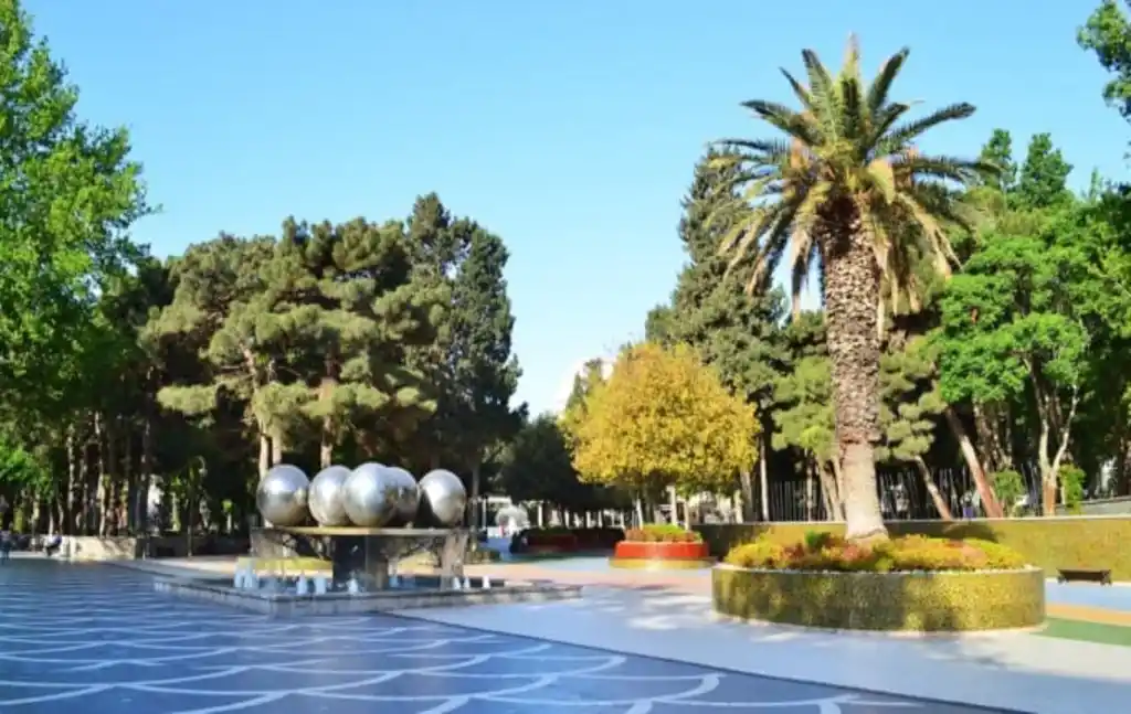 Площадь фонтанов в Баку, пальма, посвящённая женщине Наргиз