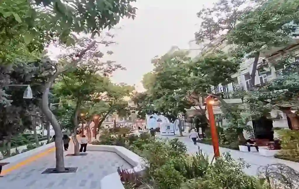 Сад имени Хагани в Баку, вид на дорожки, деревья и зелёные аллеи