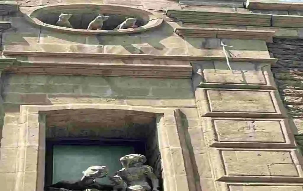 Дом с кошками в Баку dom-s-koshkami-v-baku