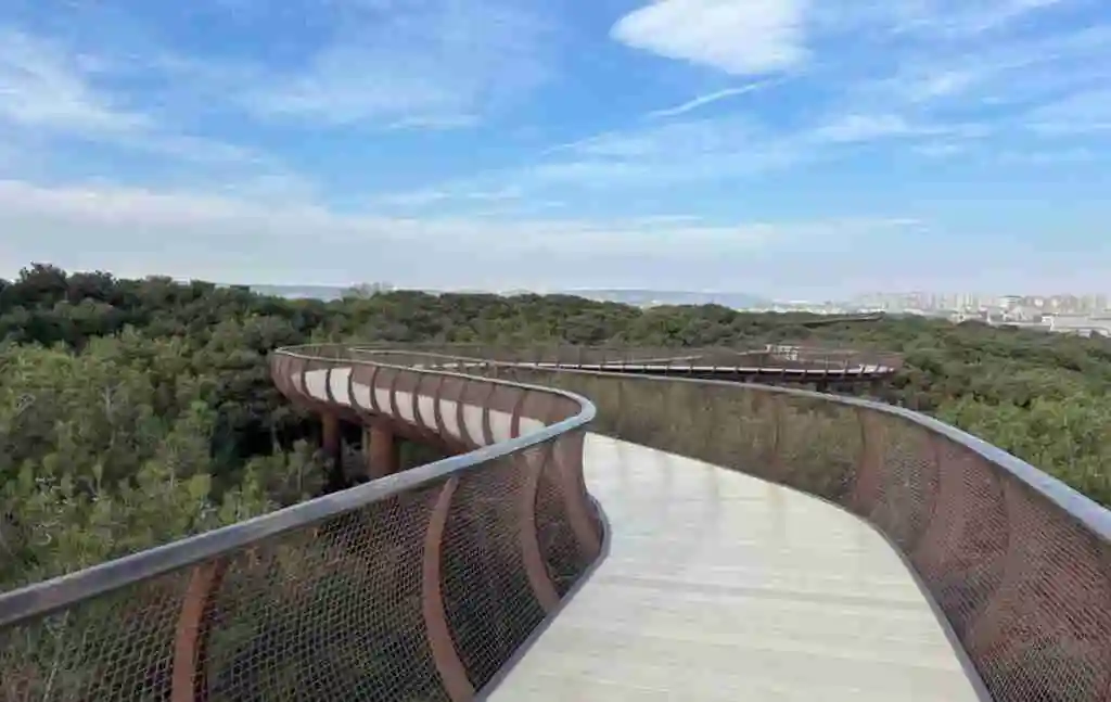 Мост в ботаническом саду Баку most-v-botanicheskom-sadu-baku