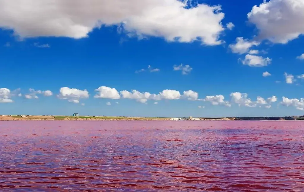 Розовое озеро Масазыр в окрестностях Баку Розовое озеро Масазыр в окрестностях Баку