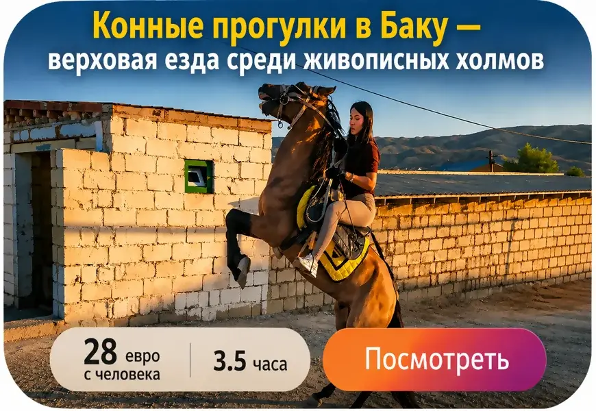 Верховая езда на лошадях в Баку среди живописных холмов