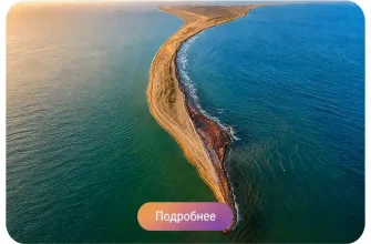 Шах Дили и эко-парк «Зиря» экскурсия из Баку
