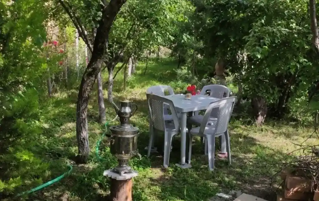 Самовар и стол со стульями в зелёном саду Алтыагача, Азербайджан